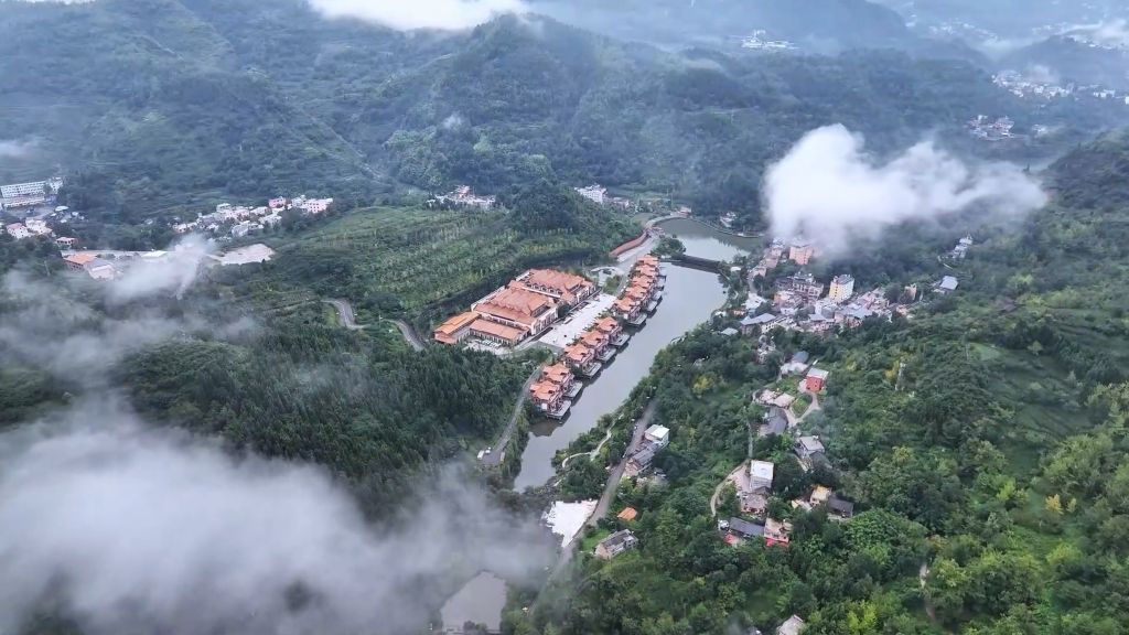 清凉经济丨千年银杏下的避暑“致富经