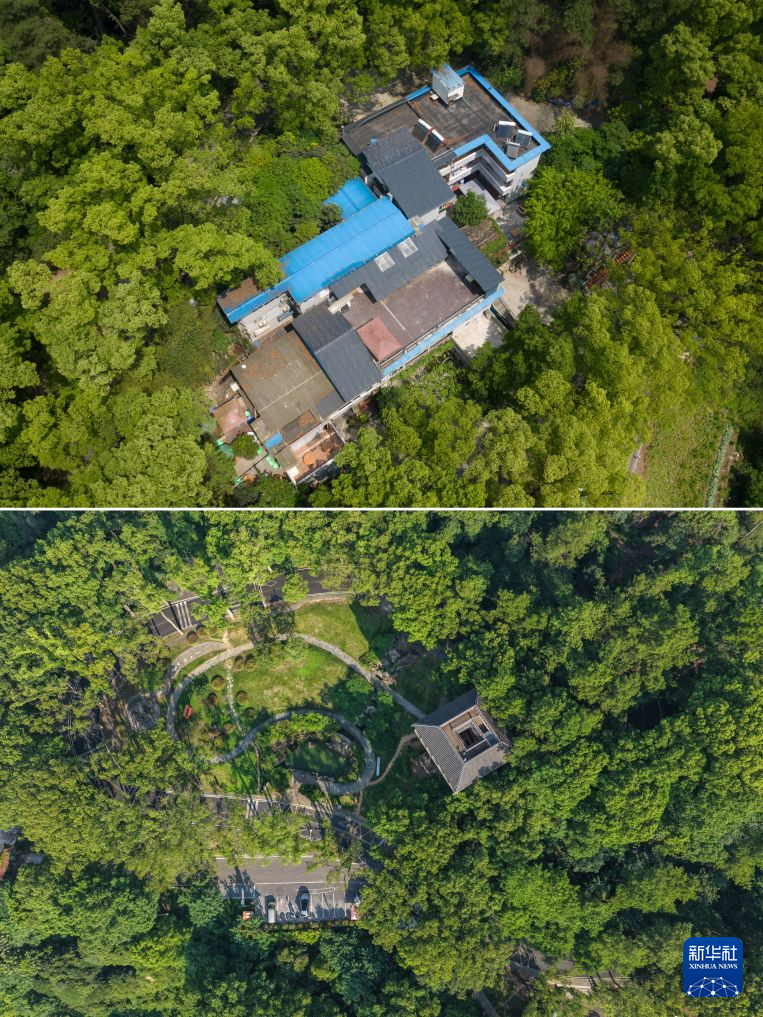 由乱到治 向绿而生——重庆缙云山的生态蜕变