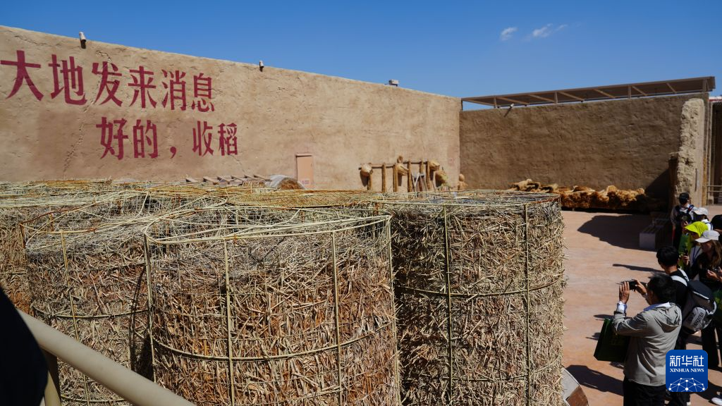 活力中国调研行丨看见闽宁·戏剧村落:山海情焕发新动能