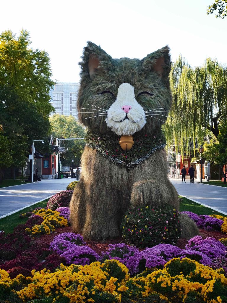 “留”住秋日浪漫,落叶缓扫、“小猫”出圈