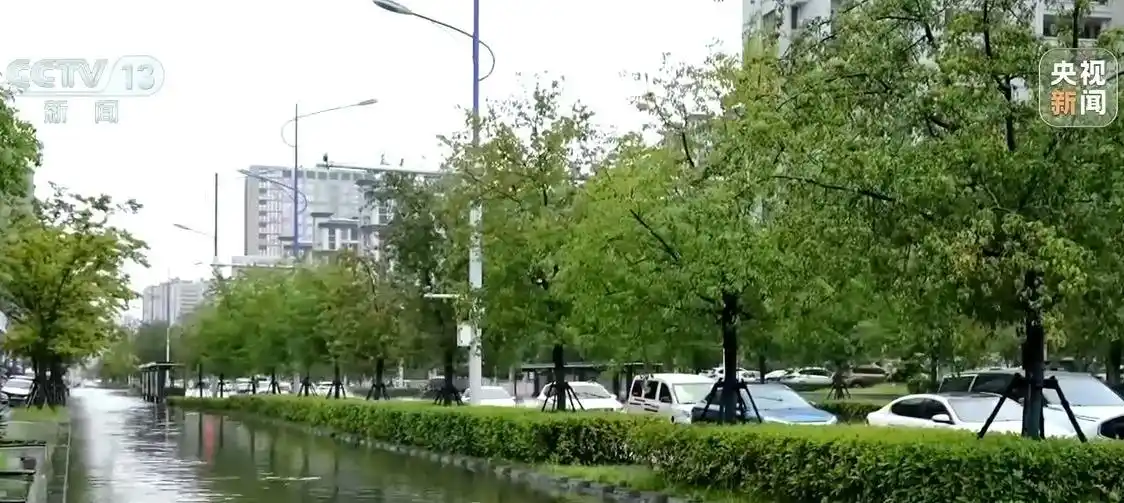 网传飞机“散云止雨”加重内蒙古旱情?真相来了