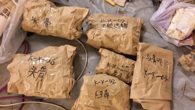 距今约20万年,内蒙古一地有重大发现
