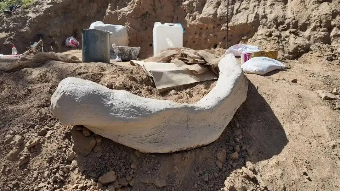 距今约20万年,内蒙古一地有重大发现