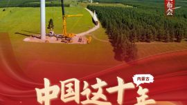 【海报】中国这十年·内蒙古 | 一组数据解码亮丽北疆新答卷