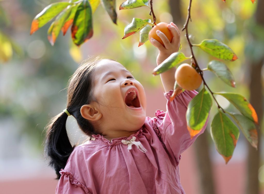 “声动”二十四节气·霜降
