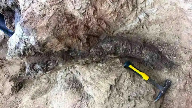 距今约20万年，内蒙古一地有重大发现